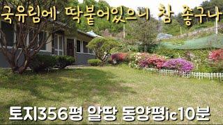 토지356평 국유림추가사용 동양평ic10분 급매가2억9천 양평전원주택급매물