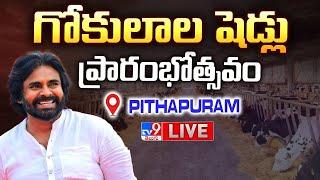 Deputy CM Pawan Kalyan LIVE | గోకులాల షెడ్లు ప్రారంభోత్సవం @ Pithapuram - TV9