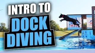 Intro To Dock Diving