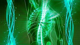 Pain reduction frequencyㅣComprehensive recovery and whole body regeneration 432Hz+174Hz