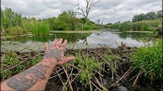 “BEAVERS OCEANIC FAULT” Beaver Dam Removal Unleashes Oceans Fury