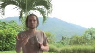 How To Get Leads For MLM Business