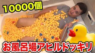 10,000 Duck Bath Prank lol