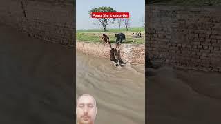 https://youtube.com/shorts/RAy5NWfxcjA?si=WbXuNYgAFkMiLcLw