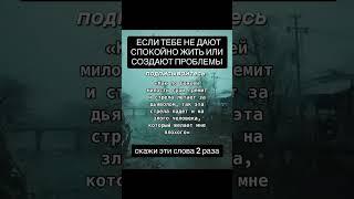 19 июня 2025 г.