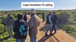 BIRDS IN SOUTH AFRICA (Part 1) - LET'S GO BIRDING