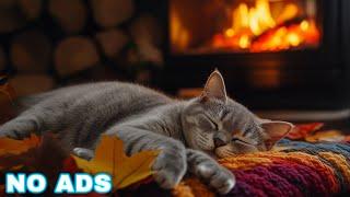 Calming music for Cats  Cozy Autumn Ambience no ads | Cat music for anxiety | Piano cat music