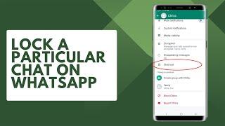 How to lock a particular chat on WhatsApp | How to lock a chat on WhatsApp without archiving