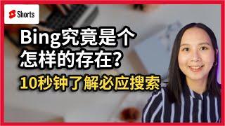 同样是搜索广告，Bing究竟值不值得一试？让数据告诉你！ （完整视频观看本周更新）