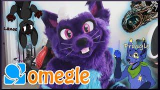 MeepsKitten - Fursuit Omegle 1