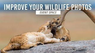 Take Your Wildlife Photography to the Next Level | B&H Event Space