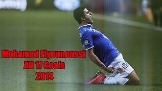 Mohamed Elyounoussi All 17 Goals 2014