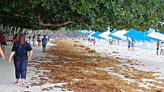 Look! This is BORACAY White Beach on August 10 2024 Daming Dagsa na Halaman Dagat From Station 1 2 3