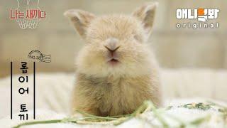 나는 태어난 지 30일 된 롭이어 토끼 새끼다 [애니멀봐 나새끼 38호]ㅣI’m a 30-Day-Old Baby Lop-Earned Bunny