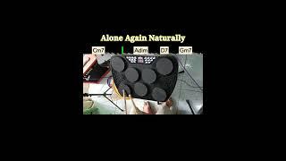 Alone Again Naturally (Gilbert O'Sullivan) drum and bass cover song