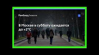 В москве в субботу ожидается до +2°c