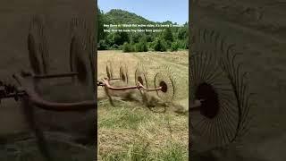 How to make hay bales in 3 simple steps! #shorts #hay #agriculture #tractor #farming