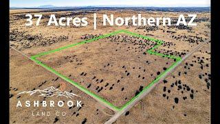 Northern Arizona Land For Sale | 37 Acre Ranch Next to BLM Land | Ashbrook Land Co