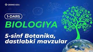 Biologiya | 5-sinf Botanika | 1-dars