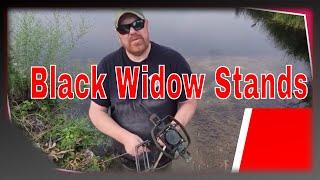 HOW TO TRAP BEAVER with black widow stands