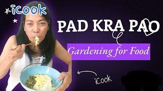 iCookiT PAD KRA PAO | GARDENING FOR FOOD #gardening #gardeningideas  #padkrapao #gardeningvideos