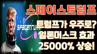 스페이스트럼프는 일론머스크를 겨냥한 밈코인? 트럼프와 일론머스크가 엮인 코인 25000% 상승은 찐 상승일까?