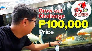 Visiting MKM Koi Farm | Grow out Challenge