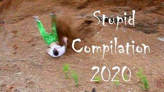Stupid Compilation 2020