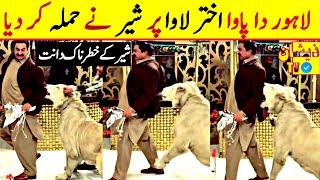 Lahore da lawa akhtar lawa viral video with loin || Lahore da pawa akhtar lawa || Zeeshan TV