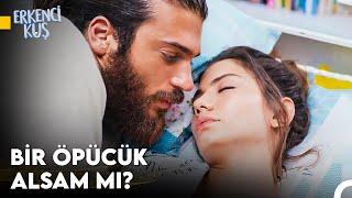 Sanem'in Aşkı Bulma Yolculuğu #148 - Erkenci Kuş