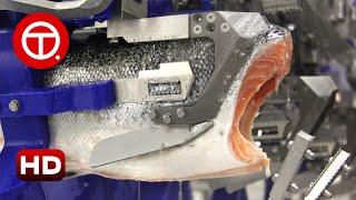 How Salmon Fillet Are Made in Factory | How It's Made ▶01