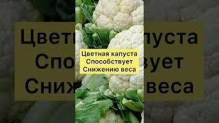 ЕШЬ И ХУДЕЙ! Какие Продукты СНИЖАЮТ ВЕС?