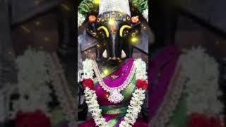 வாராகி வாக்கு |varahi amman advice in tamil | vaarahi Amman| #ammanadvice #varahiblessing #arulvaaku