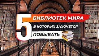 Топ 5 невероятных библиотек. Потрясающие библиотеки мира, где можно найти не только книги