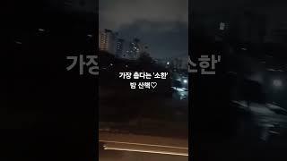 가장 춥다는 소한에 밤산책