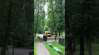 День всенародной памяти жертв Великой Отечественной войны и геноцида белорусского народа