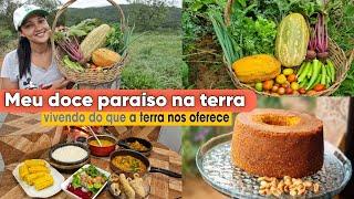 Fazendo a feira no QUINTAL DE CASA |  bolo de AMENDOIM fofinho e DELICIOSO | almoço CASEIRO do dia