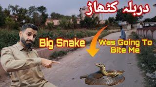 Big Snake In Village | Durbala Kathar | Dadyal Vibes