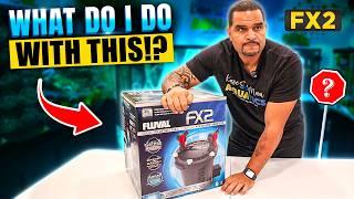 Setup Your Fluval FX2 in 30 Minutes or Less, Guaranteed!