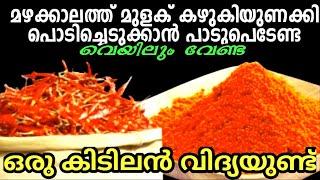 പൊടിയ്ക്കാനുള്ള മുളകും മല്ലിയും പത്ത്മിനിറ്റിൽ വെയിലില്ലെങ്കിലും ഉണക്കിയെടുക്കാം|Drying Red Chillies