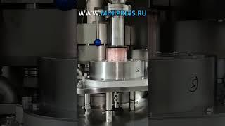 Homogenizers, quality assurance Minipress.ru