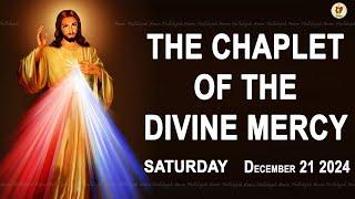 Chaplet of the Divine Mercy I Saturday December 21 2024 I Divine Mercy Prayer I 12.00 PM