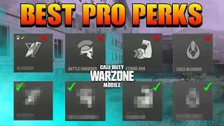 TOP PERK AND BEST CLASS IN WARZONE MOBILE|WZM BEST PERKS AND CLASS