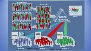 Discovering Neurobiology for Psychosis