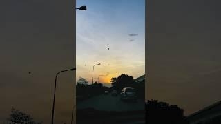 Tribute to K K | We Miss You KK sir| Sunset | Kolkata | #yt #respect #kolkata #kk #legend #sun #song