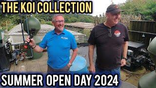 The koi collection summer open day 2024