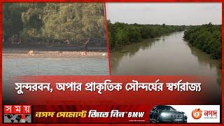 যেখানে সাগর-বন আর জীববৈচিত্রের অপরূপ মেলবন্ধন | The Largest Mangrove Forest | Sundarbans | Somoy TV