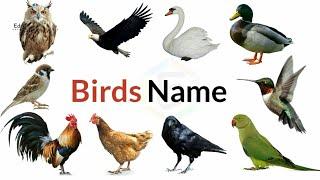 Birds Name, 20 birds name, birds name with spellings, pictures