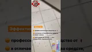 Мощное средство от тараканов, отзыв о препарате ЭФФЕКТИВ