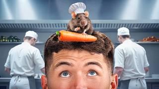 I Trained A Rat To Cook Ratatouille